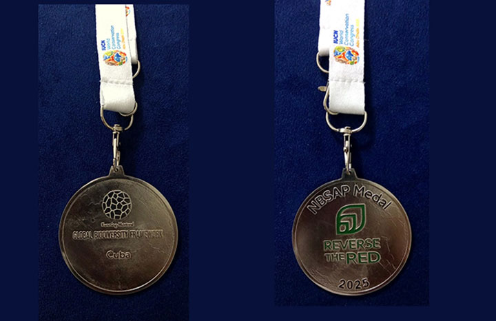 El Programa Nacional sobre la Diversidad Biológica constituye la principal plataforma para la implementación de los objetivos estratégicos definidos en la política ambiental nacional para enfrentar la pérdida de la biodiversidad.